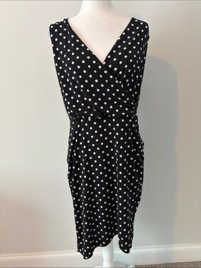 The Limited Black & White Polka Dot Faux Wrap Dress